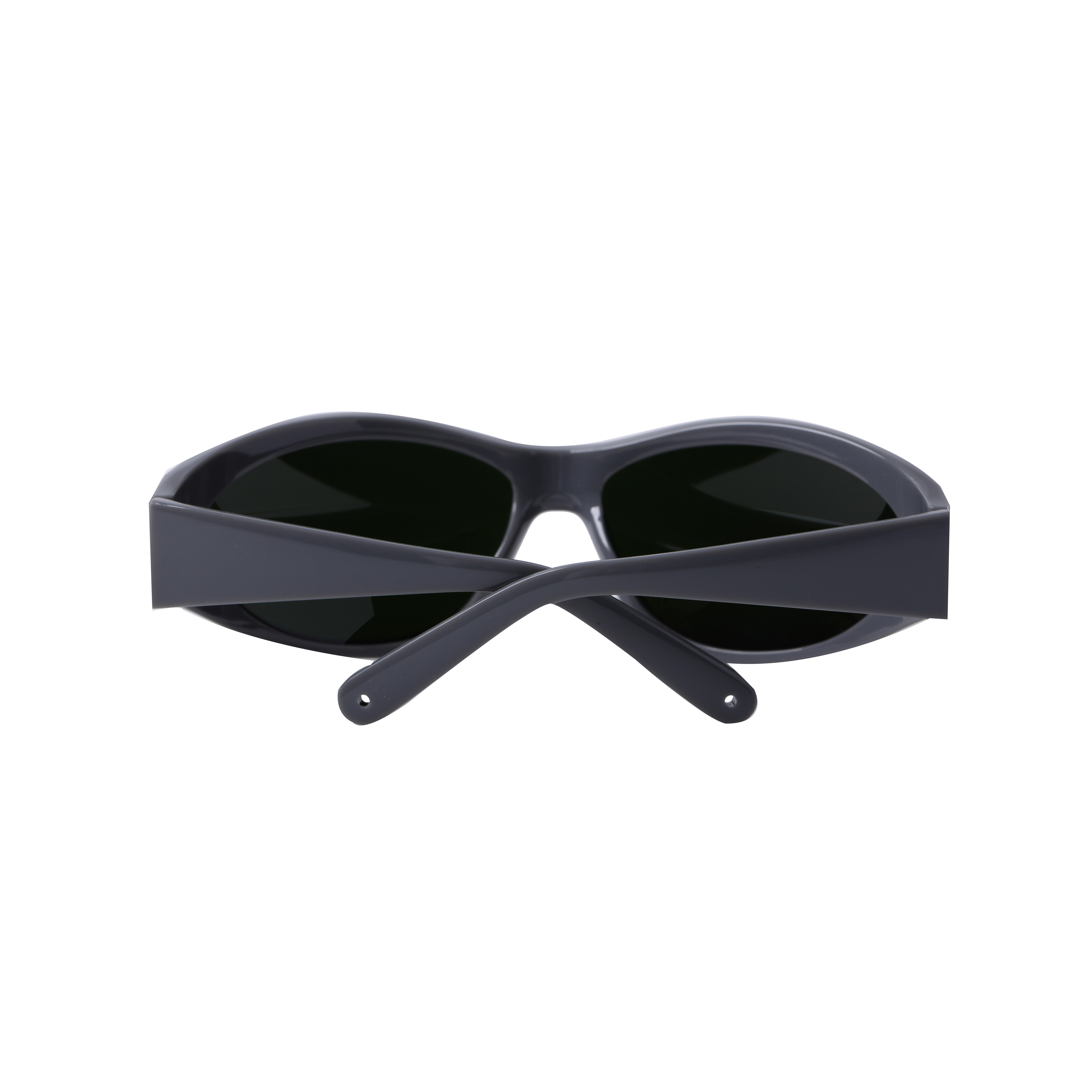 LP-IPL-2 Safety Goggle with Frame 55